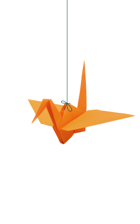 oranje vogel, groen touw