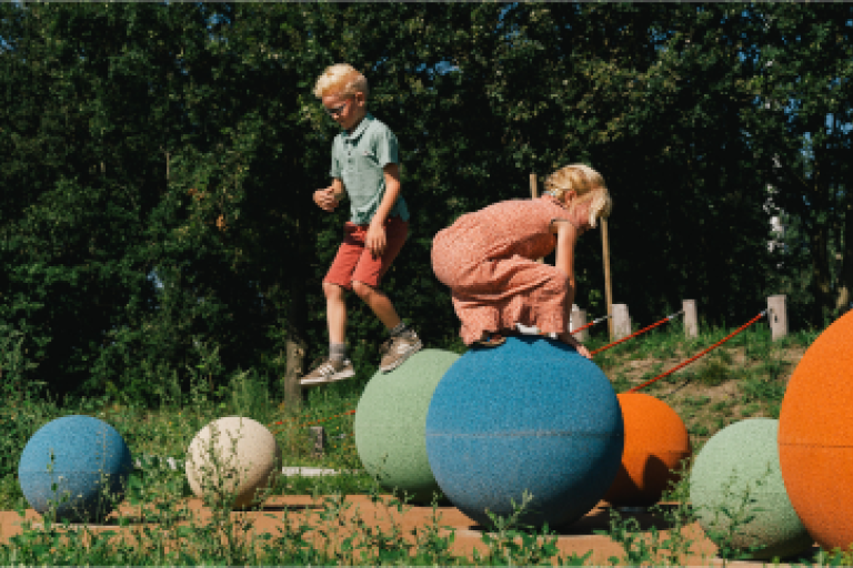 Omgeving