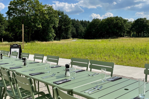 Terras