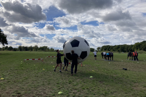 Teambuilding