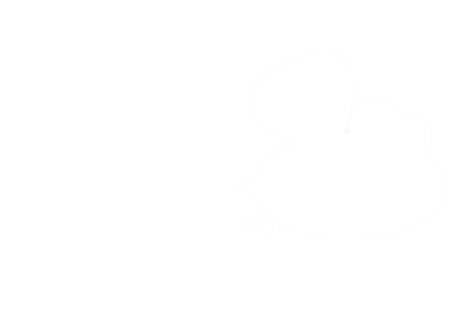 Vlieg
